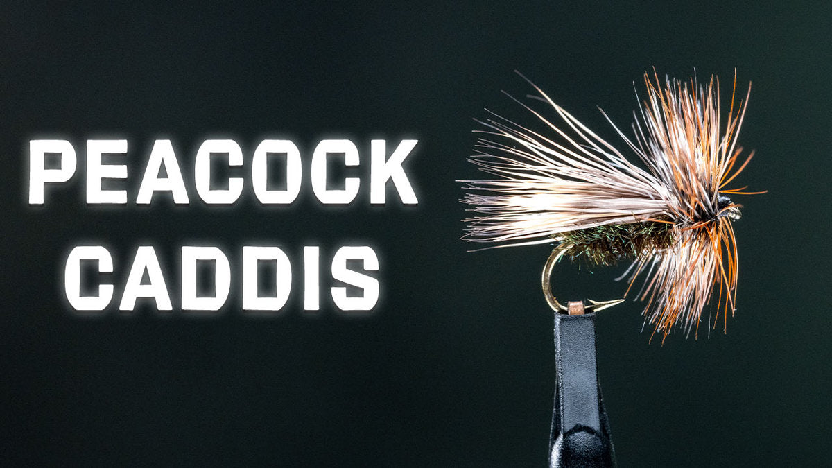 How to Tie the Peacock Caddis Dry Fly