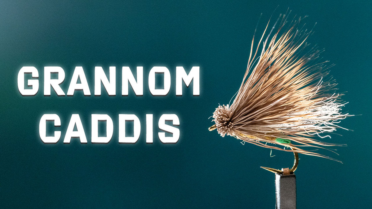 How to Tie the Grannom Caddis Dry Fly Trident Fly Fishing