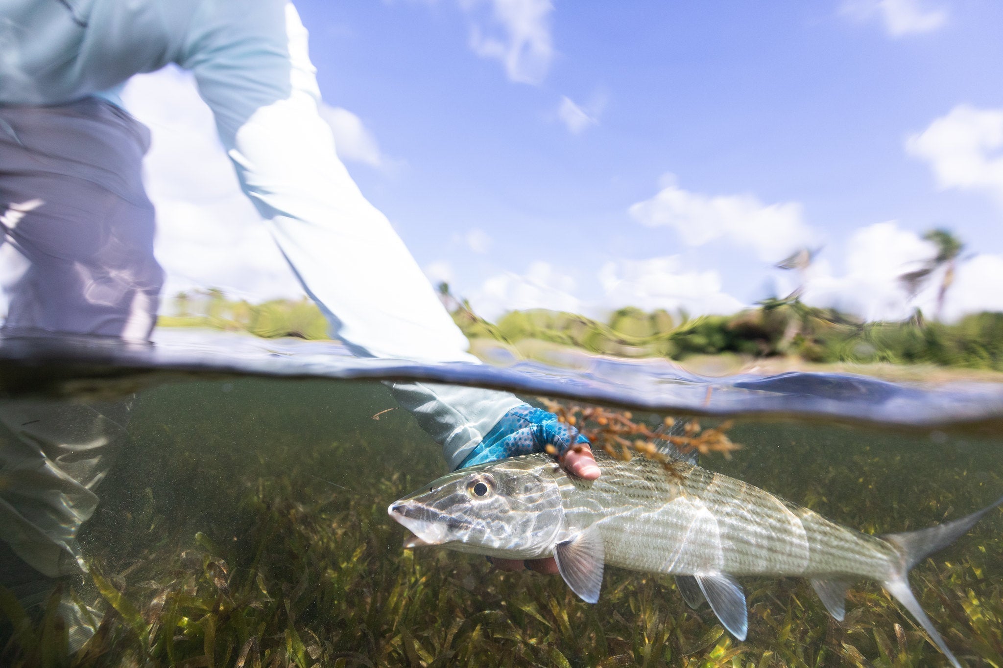 How to Choose the Best Fly Reel for Bonefish