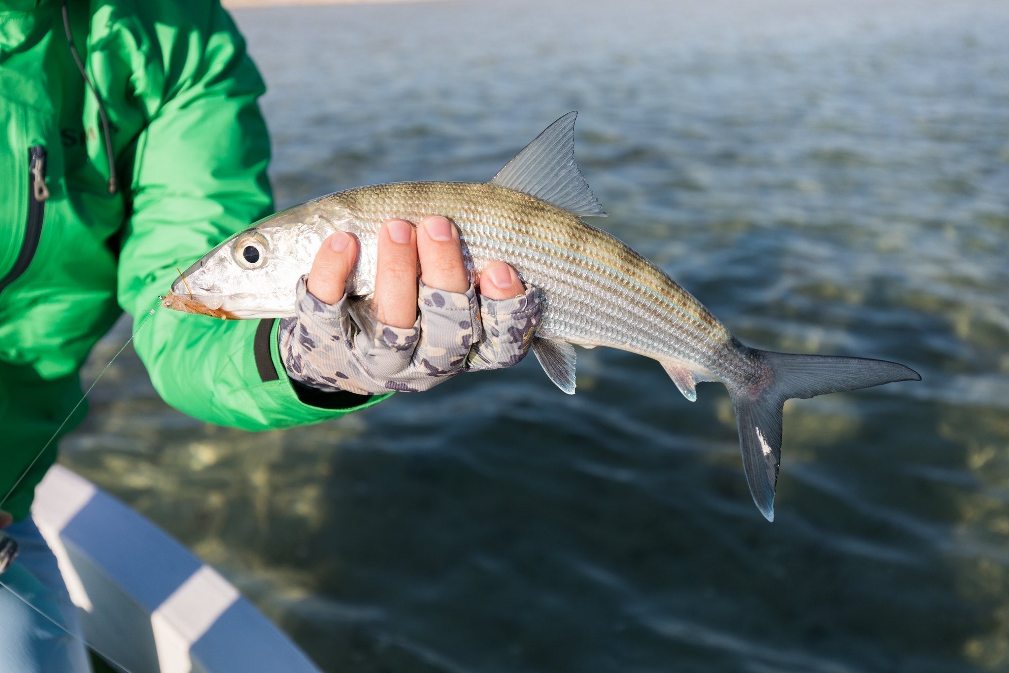 best bonefish fly reels Buttah #6 Discover the Sage Enforcer Grand Slam Edition Fly Reel 4 Best Fly Fishing Reels