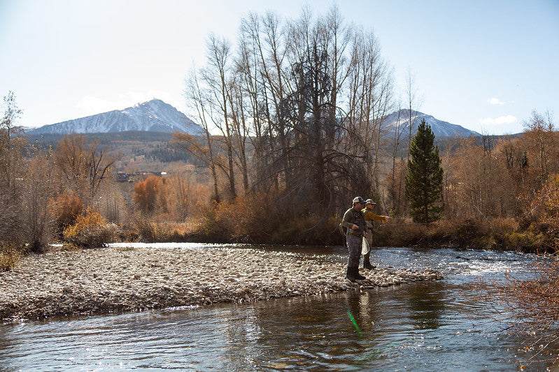 Best Euro Nymphing Fly Rods of 2026