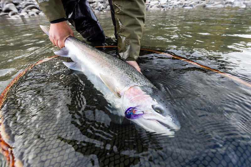 How to Choose the Best Fly Reel for Steelhead