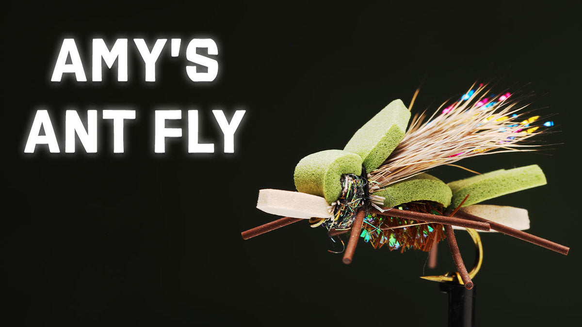 How to Tie Amy's Ant Fly Pattern