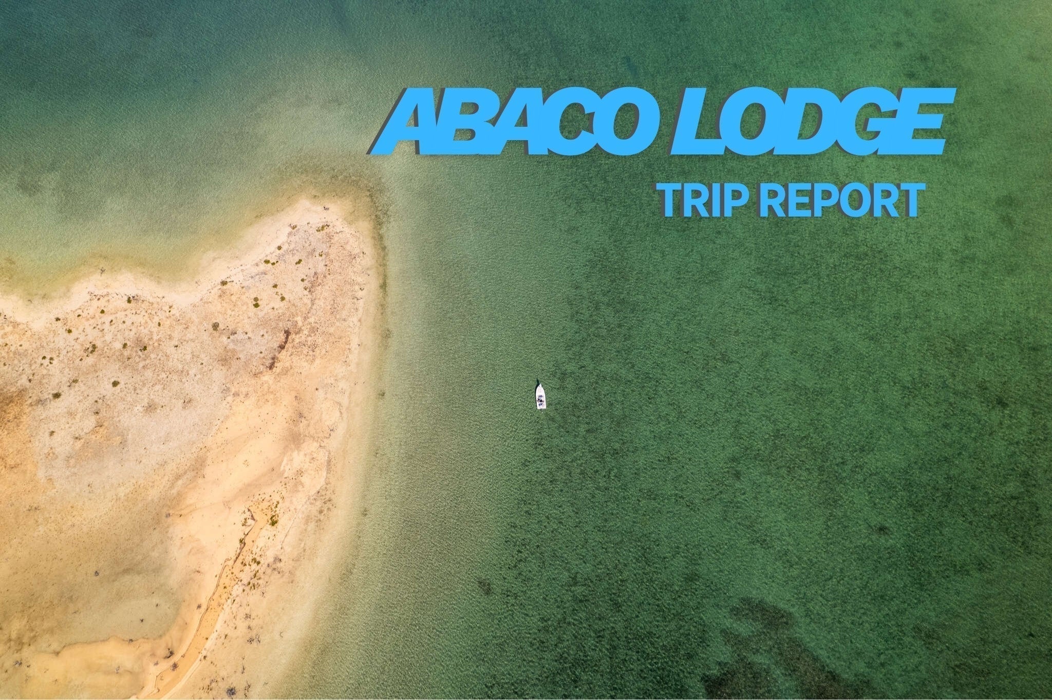 Trip Report: Abaco Lodge, Bahamas - May 2025
