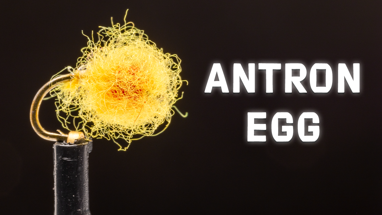 How to Tie the Antron Egg Nymph Fly