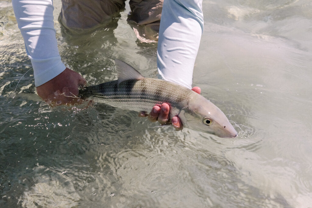 Bonefishing Gear Guide