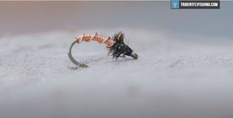 How to Tie a Brassie Fly