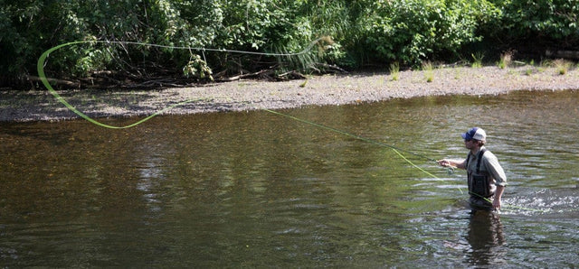 How to Choose the Right Fly Rod for Every Species