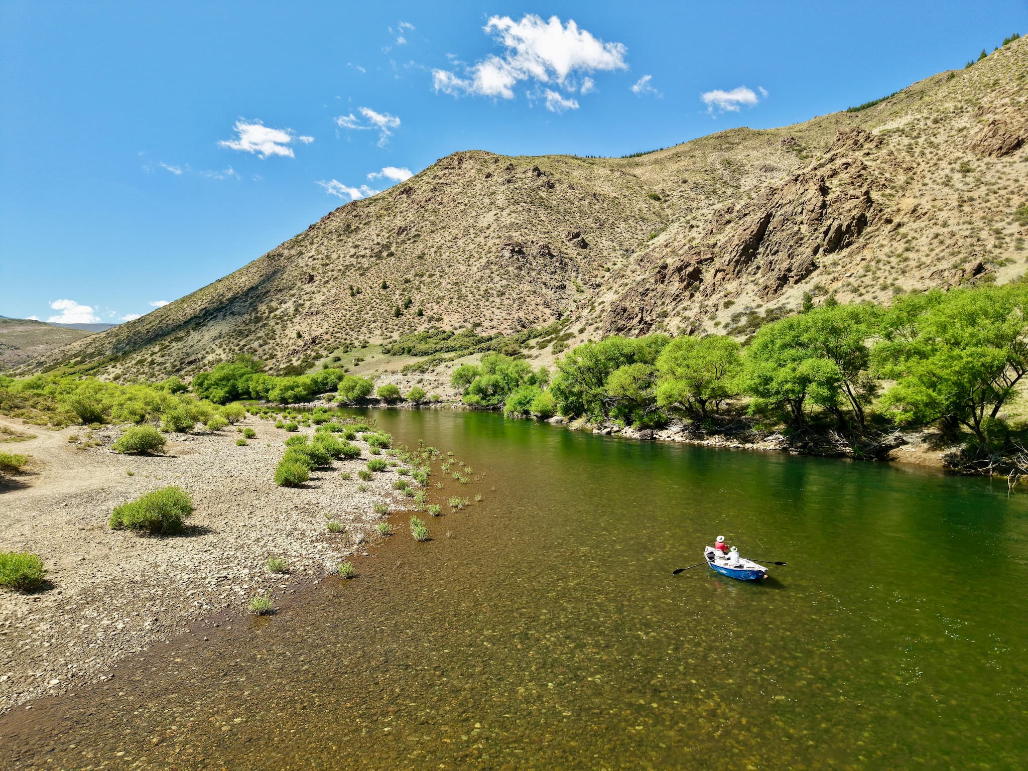 Chimehuin-Fly-Fishing-Report