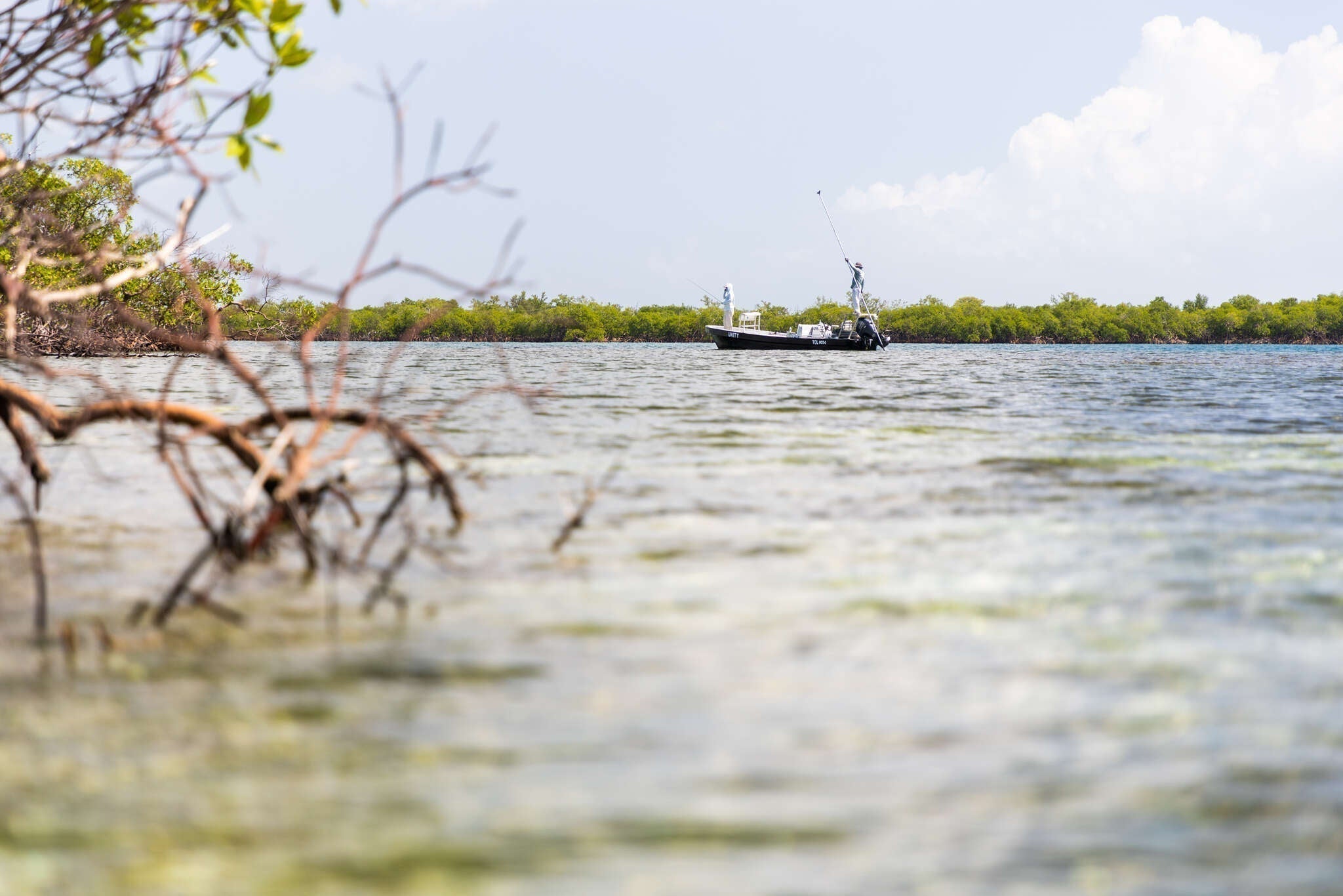 Copal Tree Fly Fishing Lodge Review