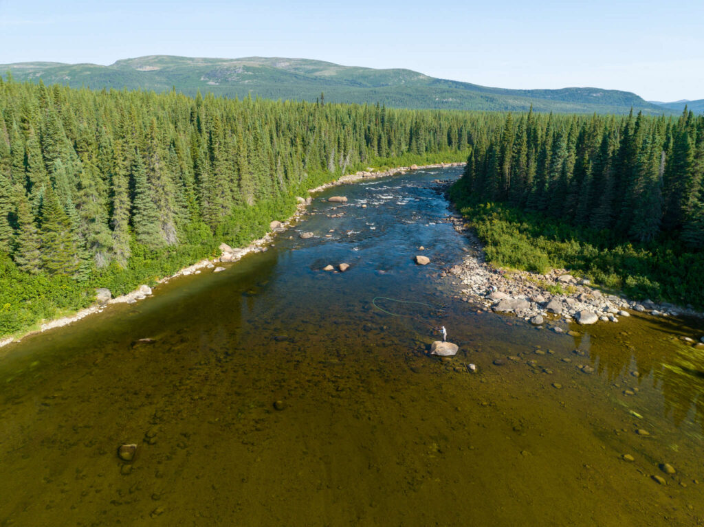 Best Switch Fly Rods of 2025