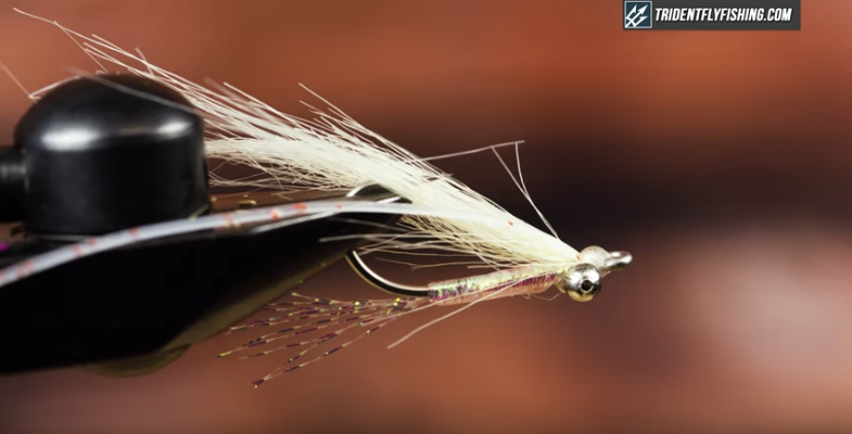 Rubber Leg Gotcha Shrimp Fly Tying Tutorial