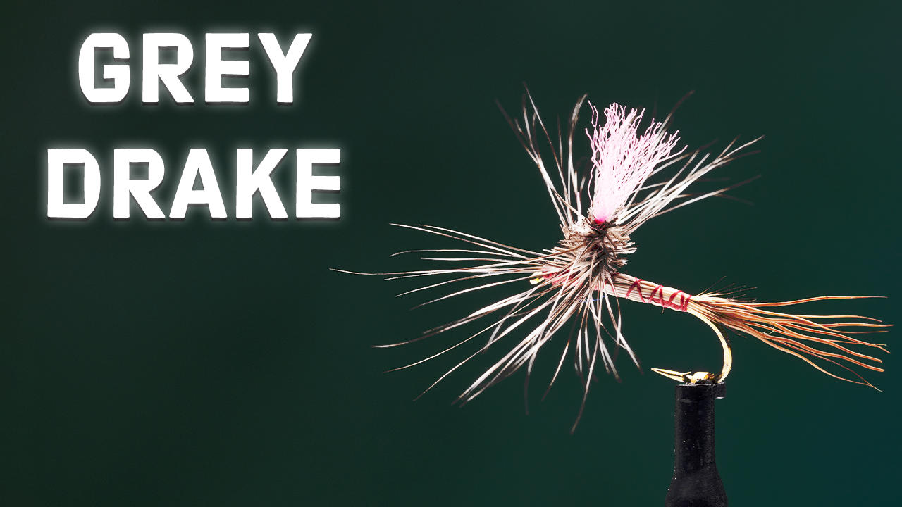 How to Tie the Gray Drake Spinner Dry Fly Pattern