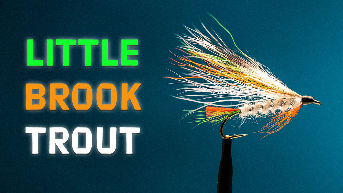 How to Tie the Little Brook Trout Streamer Fly