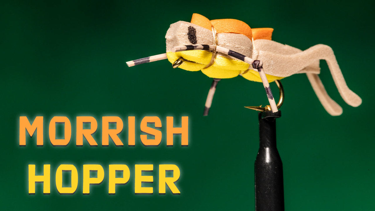 How to Tie the Morrish Hopper Fly Pattern