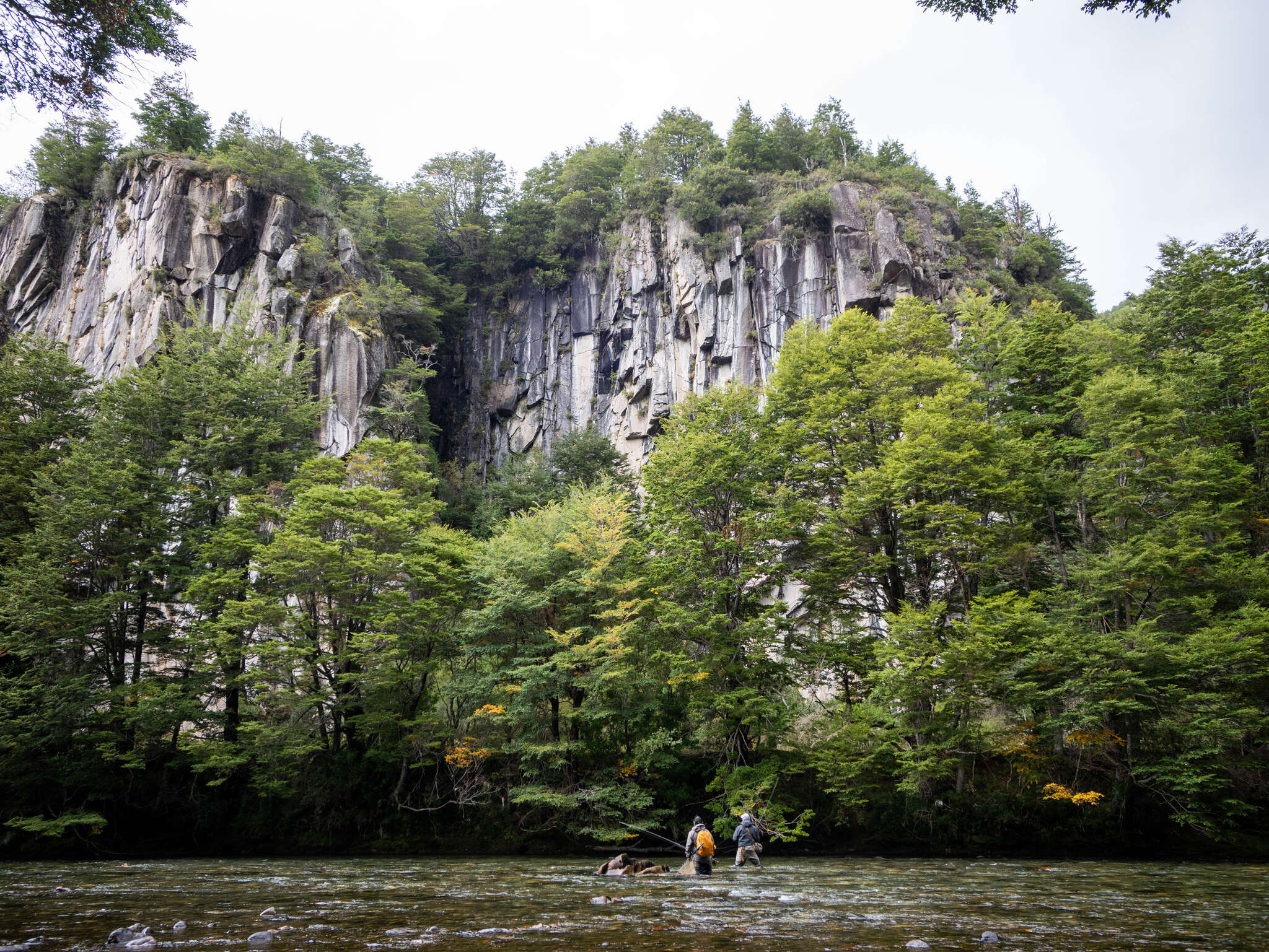 Best 5wt Fly Rods of 2026