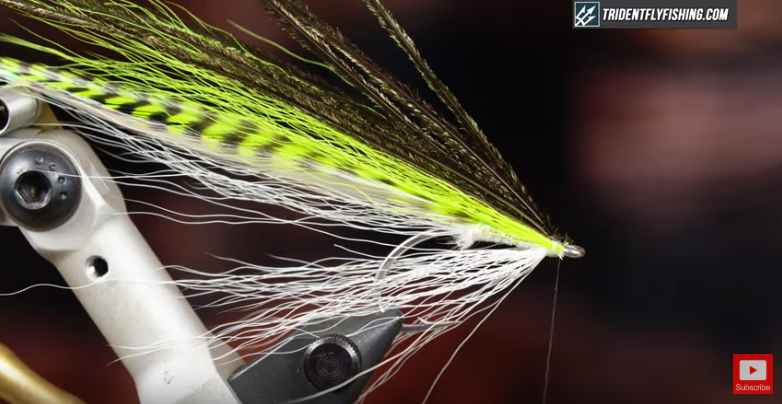 How to Tie a Rhody Flatwing Streamer Fly
