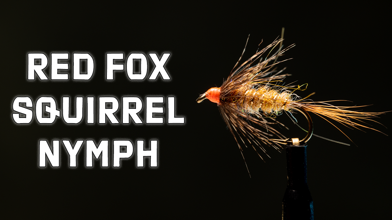 How to Tie the Red Fox Squirrel Nymph Fly Pattern