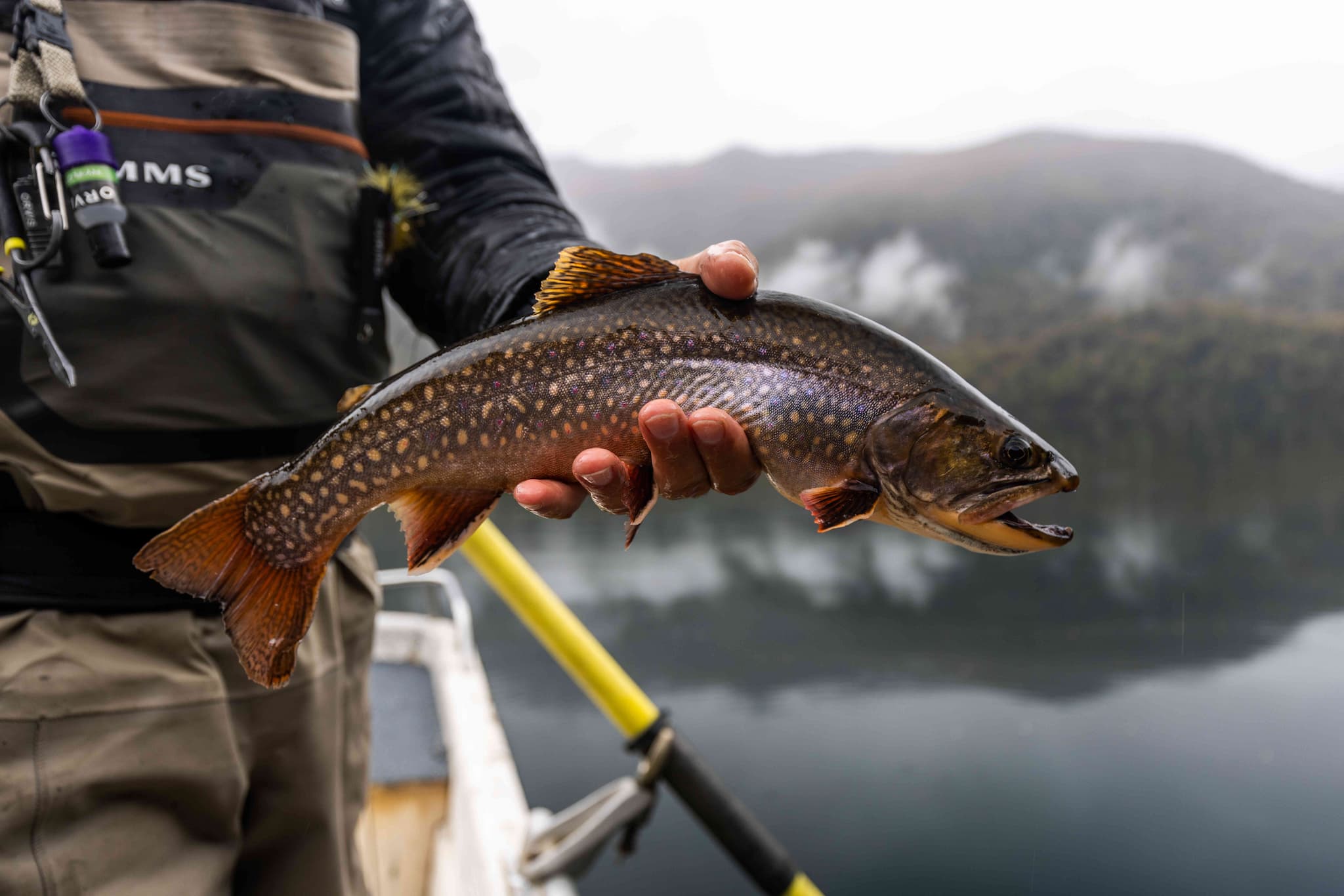 The 10 Best Flies For Early Season Trout