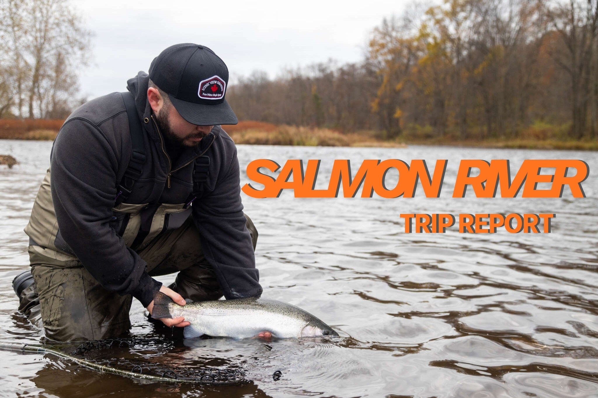 Trip Report: Salmon River, New York - November 2025