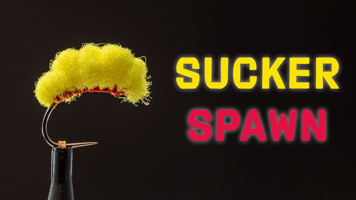 How to Tie the Sucker Spawn Fly Pattern