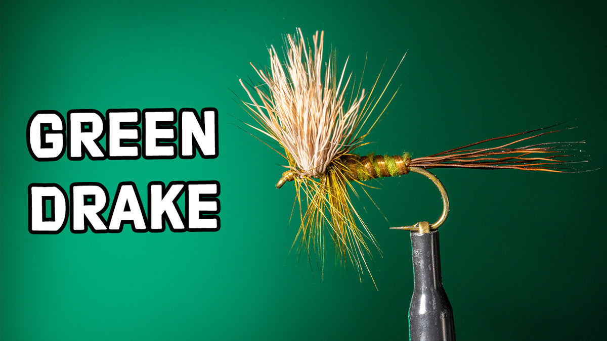 How To Tie a Green Drake Dry Fly