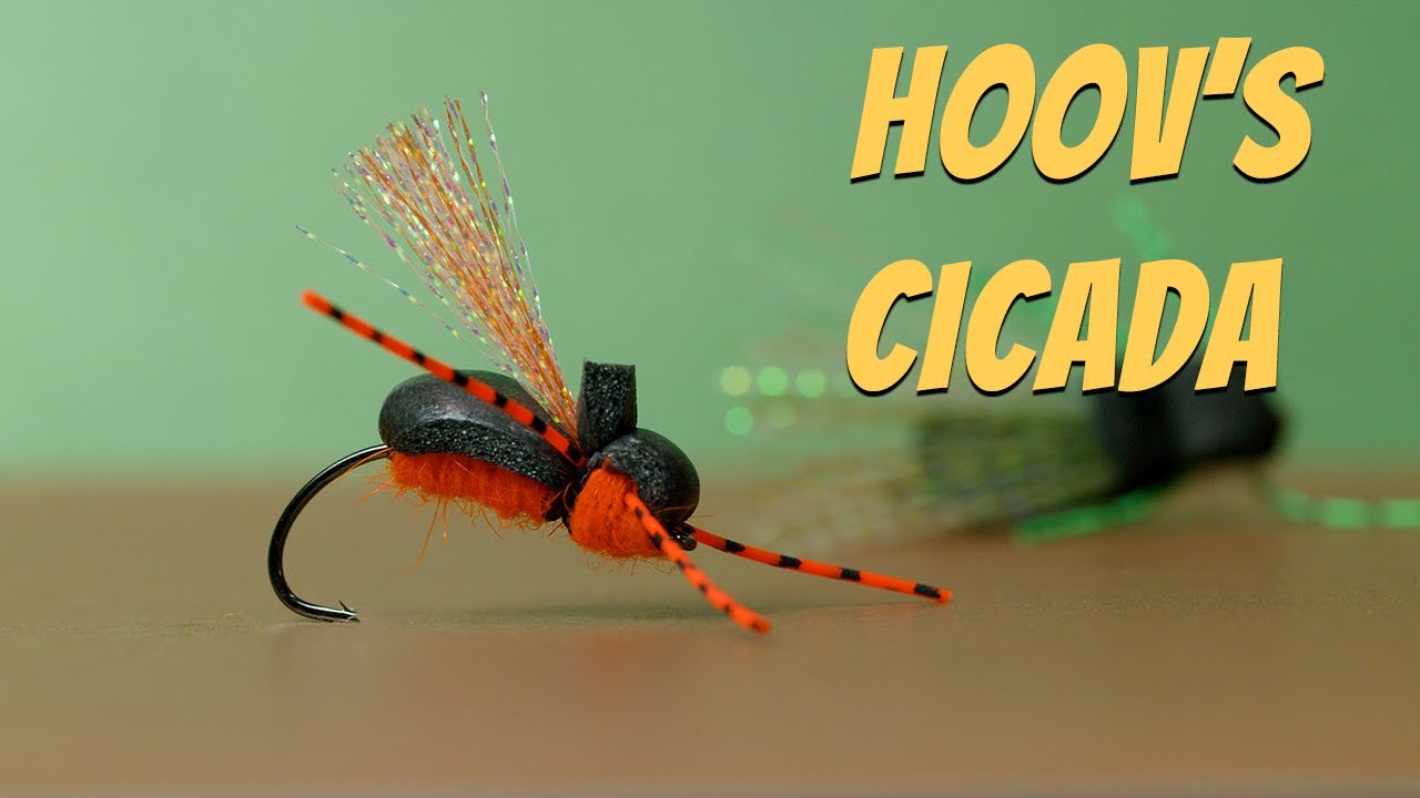 How to Tie Hoov's Cicada Fly