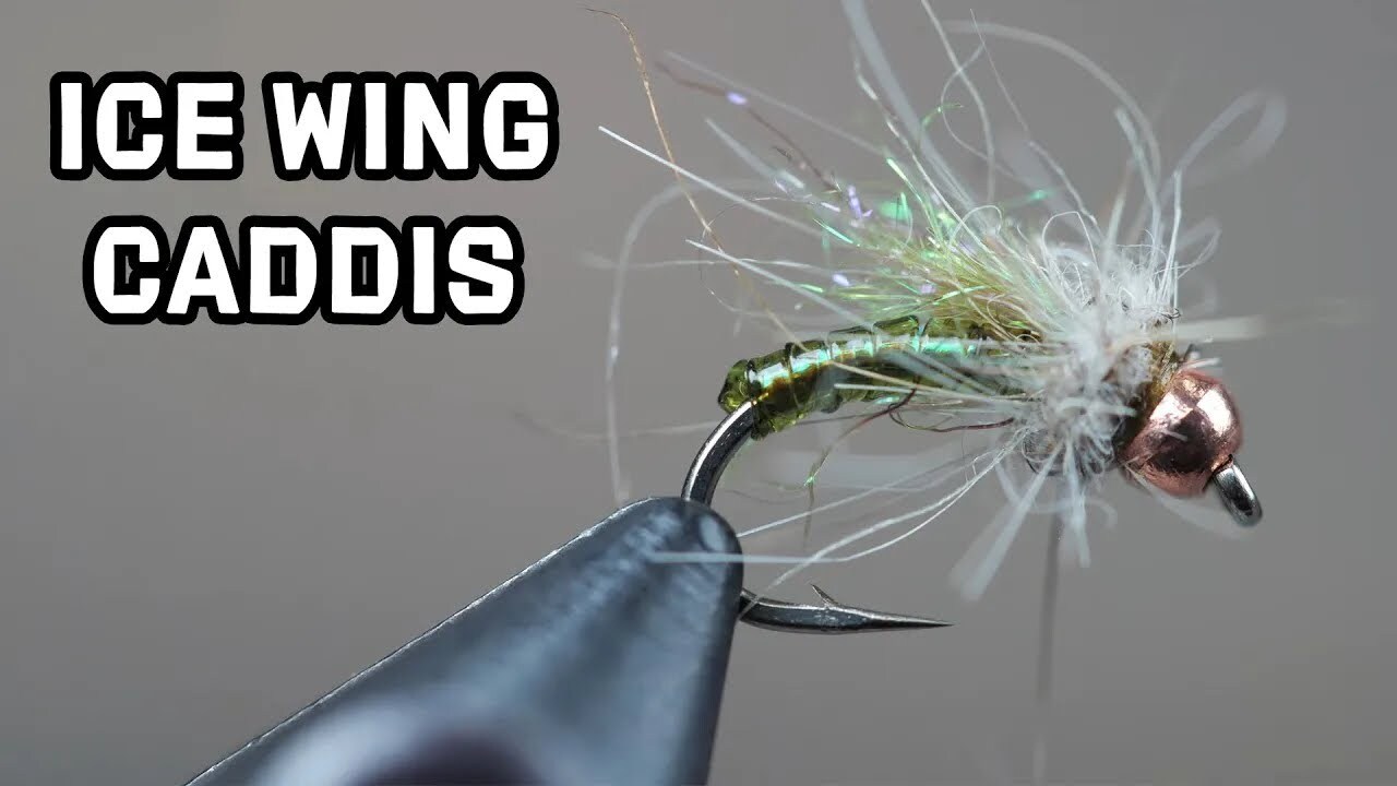 How To Tie the Ice Wing Caddis