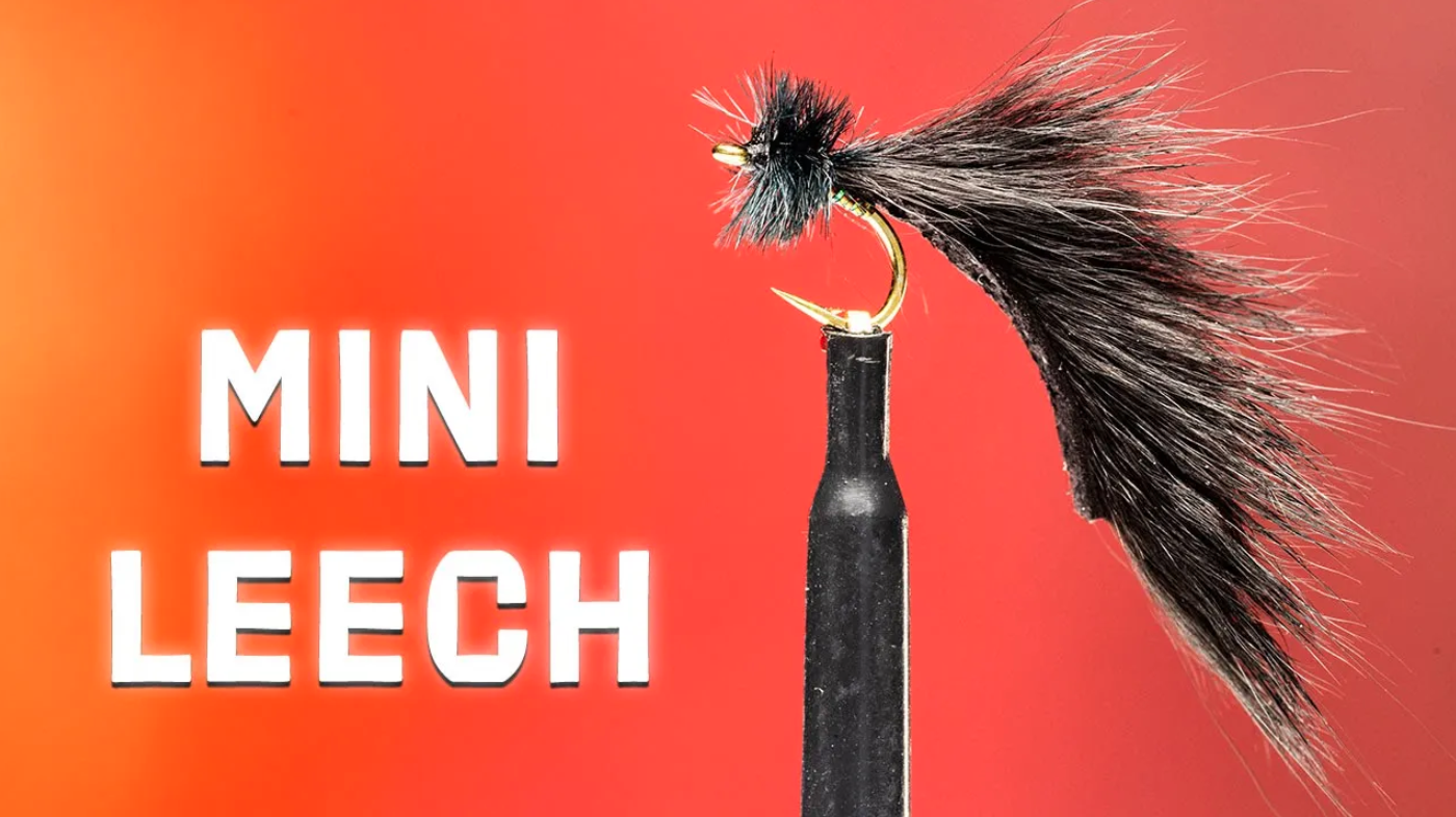 How to Tie the Mayer's Mini Leech Fly Pattern