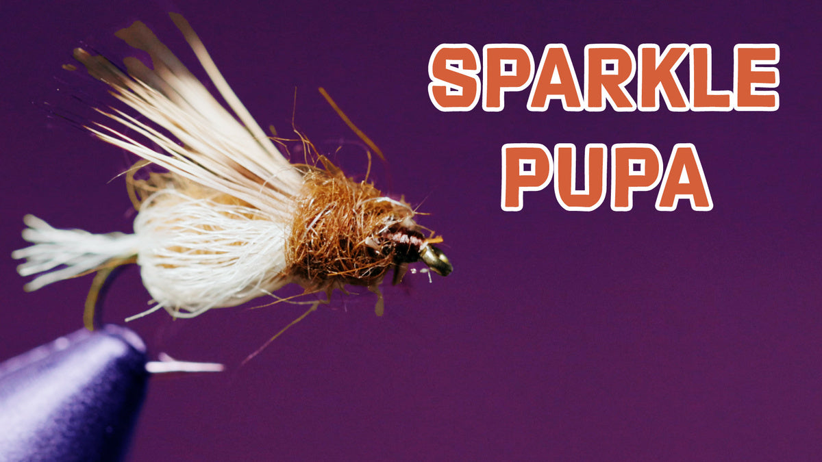 How To Tie LaFontaine's Sparkle Pupa