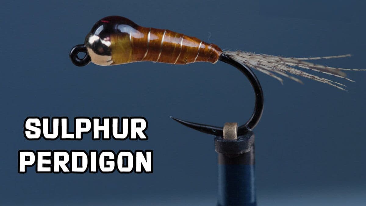 How To Tie The Sulphur Perdigon
