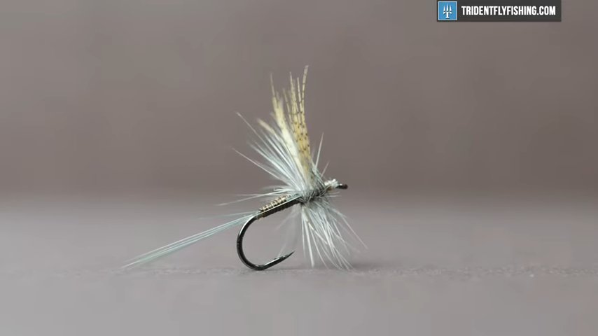 How to Tie the Quill Gordon Fly