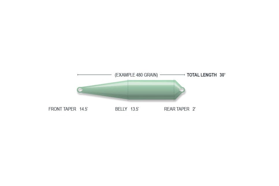 Airflo Rage Compact float shooting head, mint-green tapered nylon line with front/belly/rear tapers, looped ends, 30