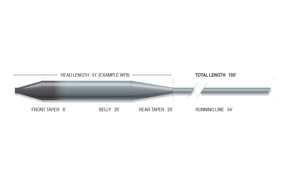 Airflo Superflo fly line profile diagram, grey-blue tapered head, belly and running line with length labels