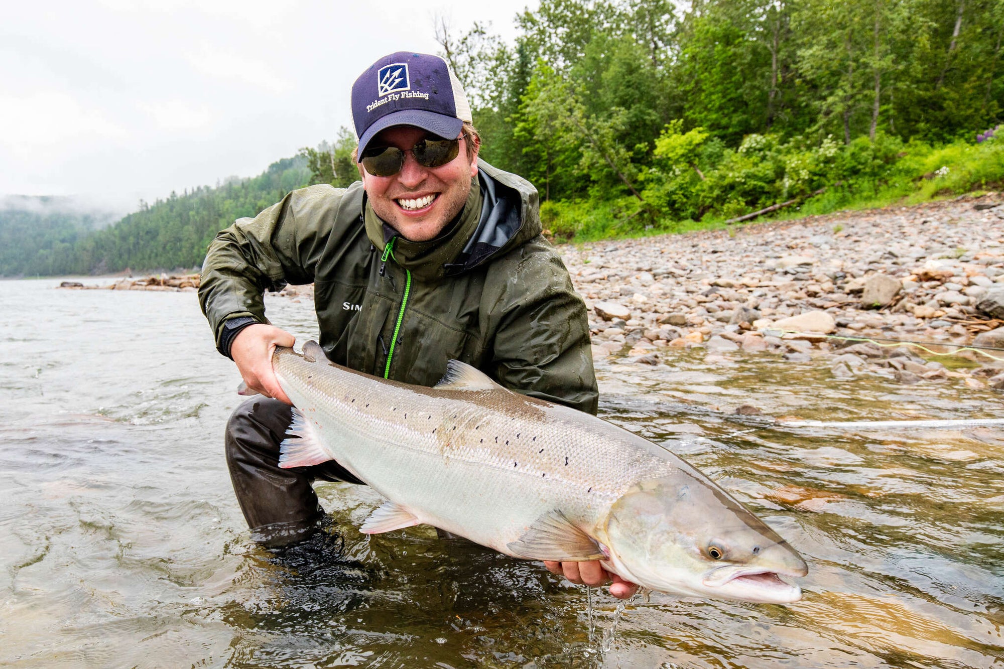 Atlantic Salmon