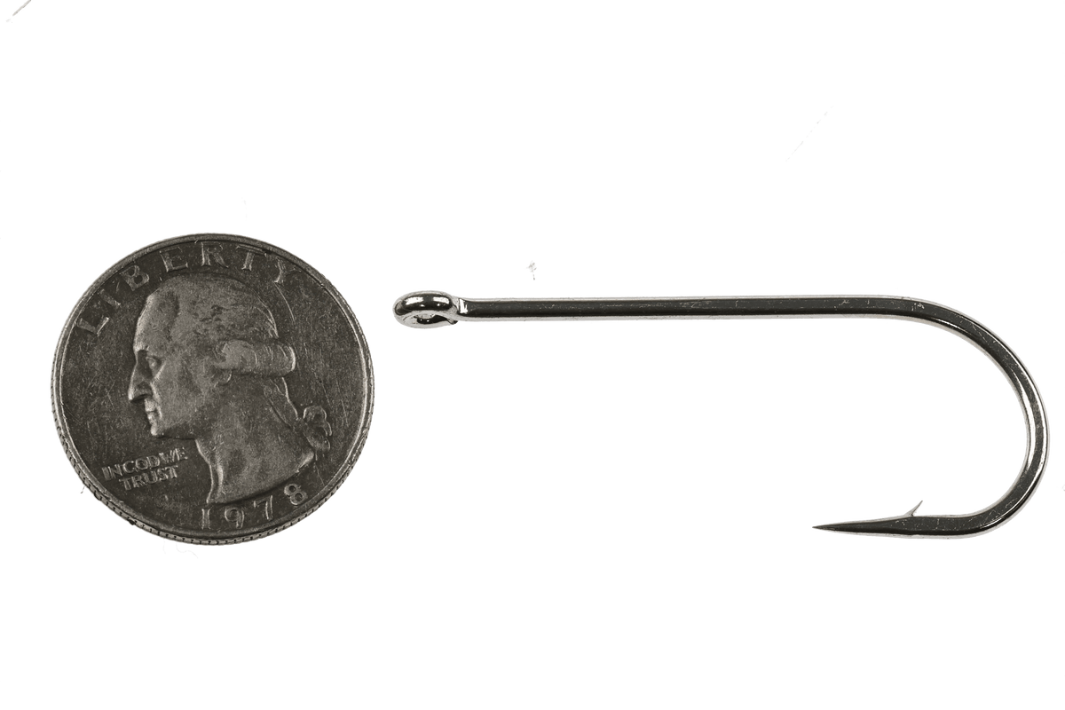 Gamakatsu SP113L3H Perfect Bend saltwater hook displayed next to quarter for size comparison, showing chrome finish and