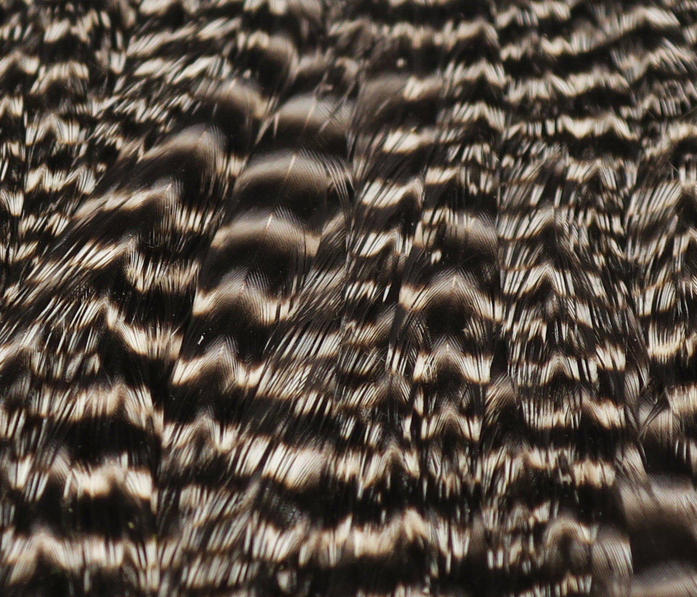 Hareline Hen Cape
