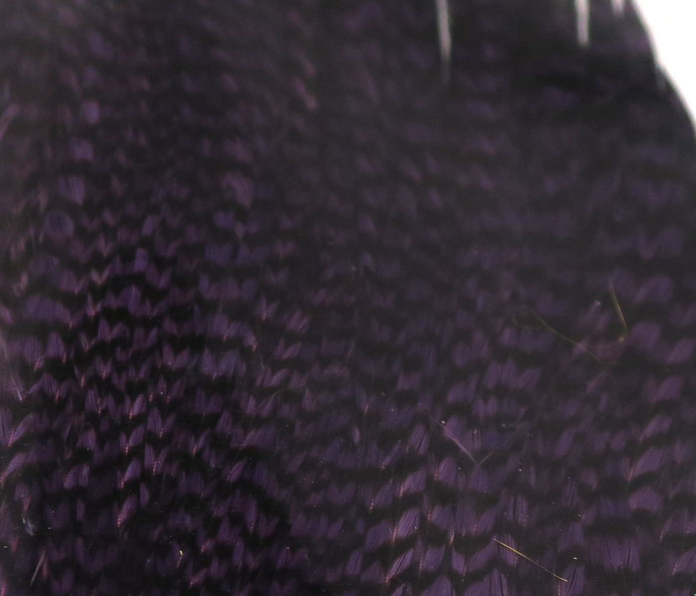 Hareline Half Rooster Capes