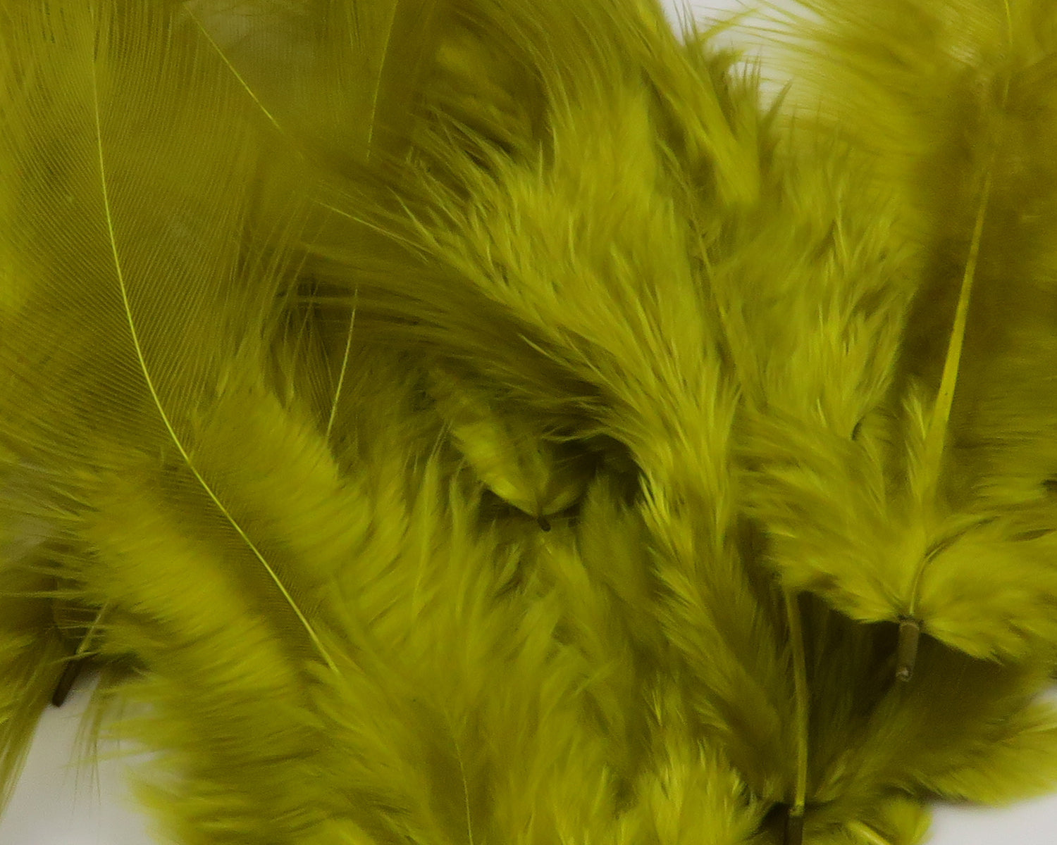 Hareline Soft Hackle Feathers
