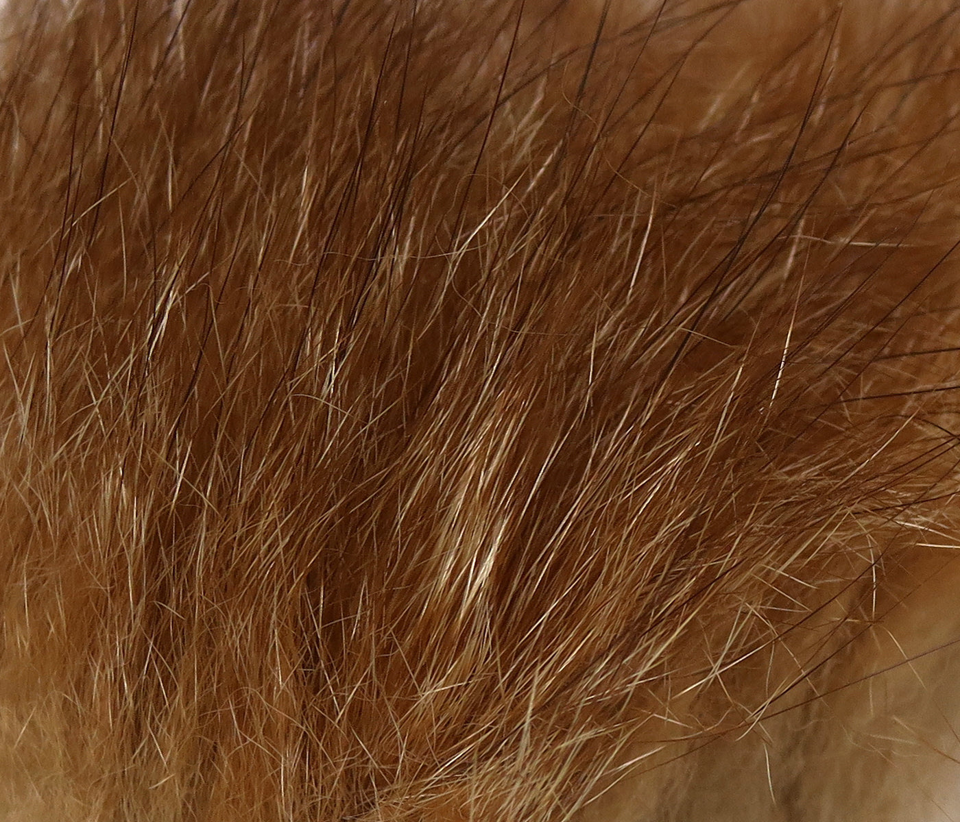 Hareline Ozzie Possum Fur