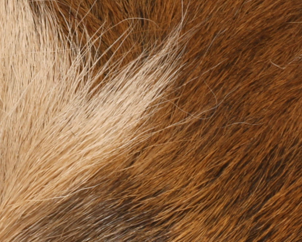 Hareline Petite Bucktail