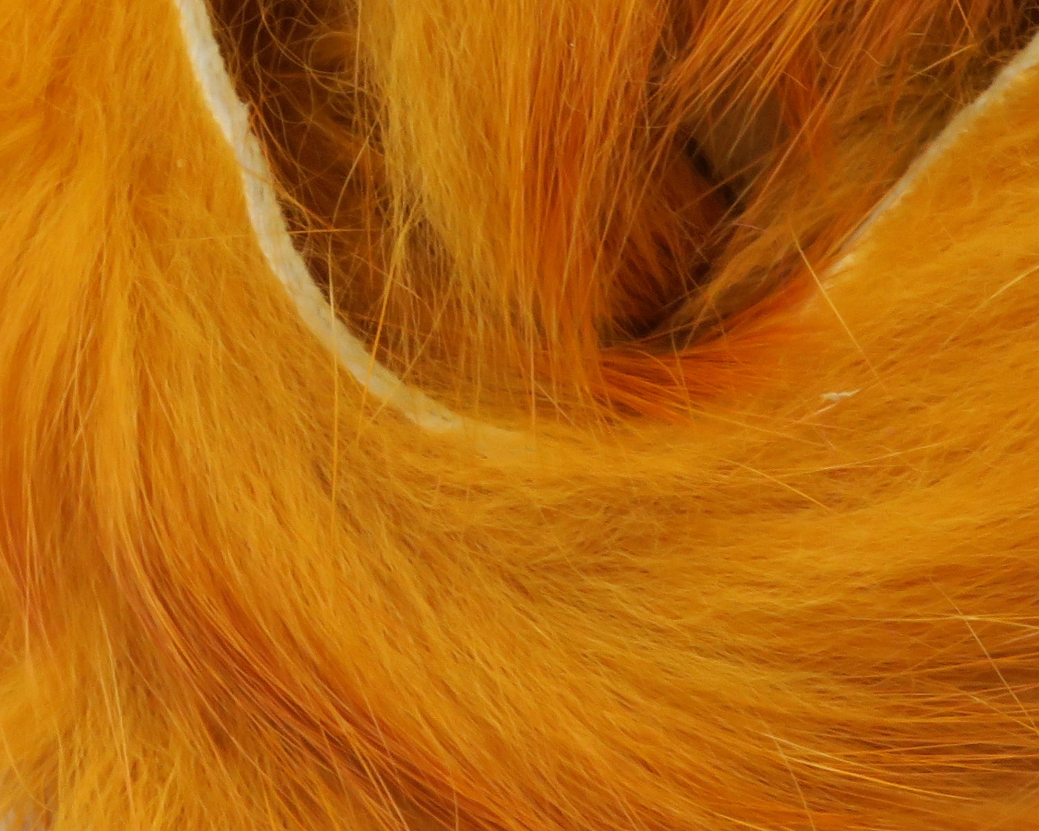 Hareline Rabbit Fur Strips