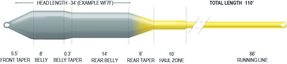 Airflo Ridge 2.0 Sniper 4 Seasons fly line with tapered grey head transitioning to thin yellow running line with loop ends