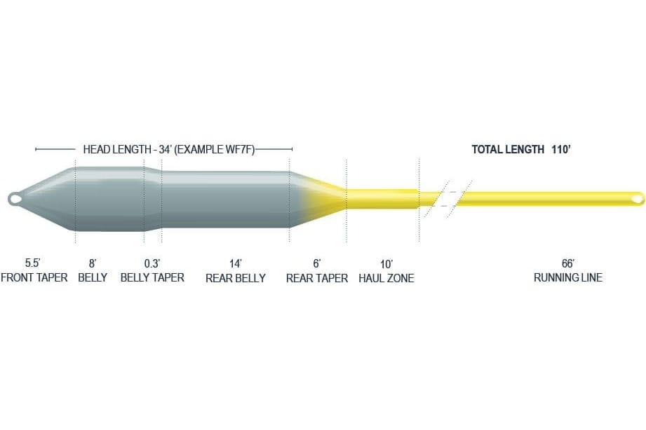 Airflo Ridge 2.0 Sniper 4 Seasons fly line with tapered grey head transitioning to thin yellow running line with loop ends