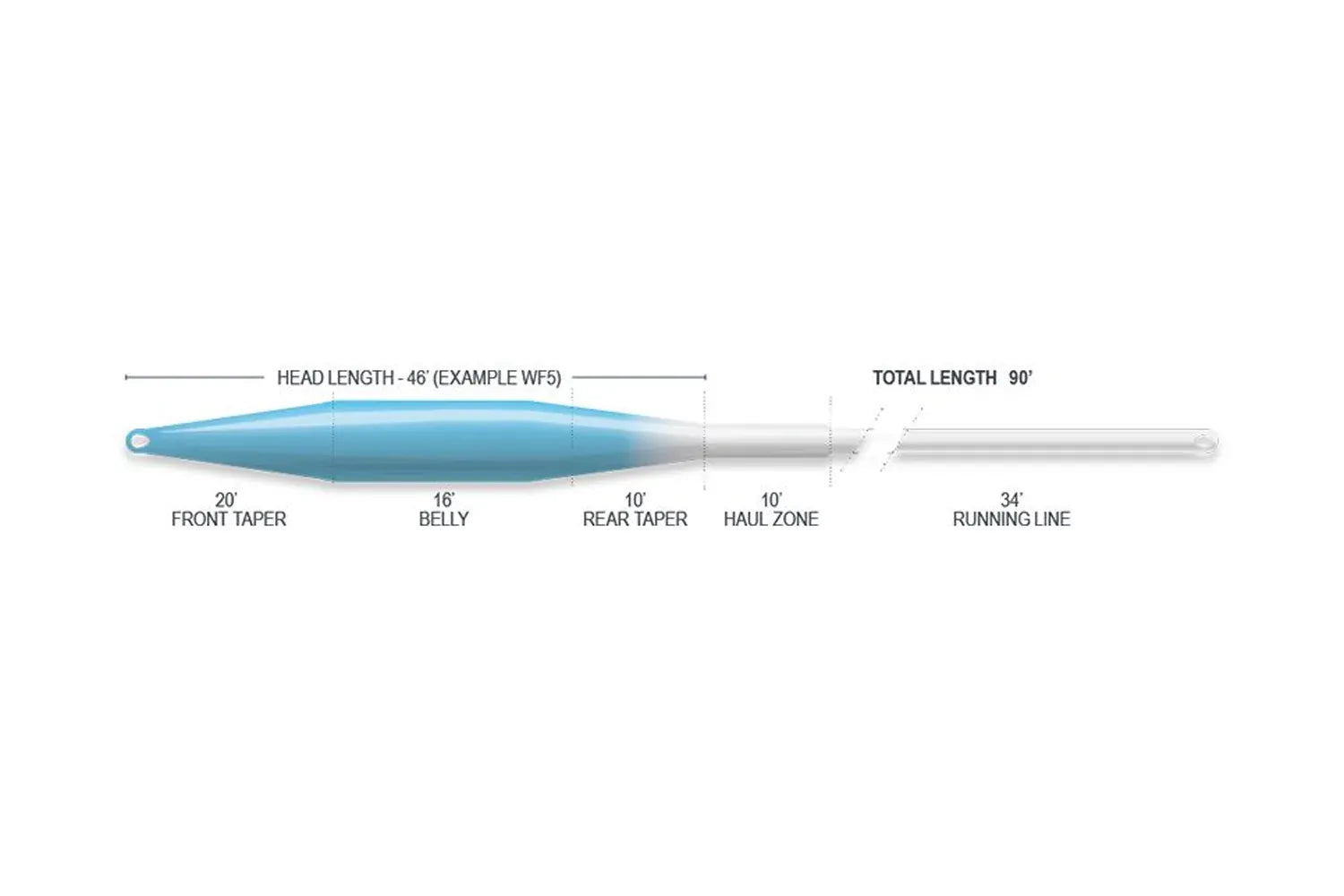 Blue-to-white Airflo fly line profile with tapered blue head and belly fading to thin white running line, labeled lengths.