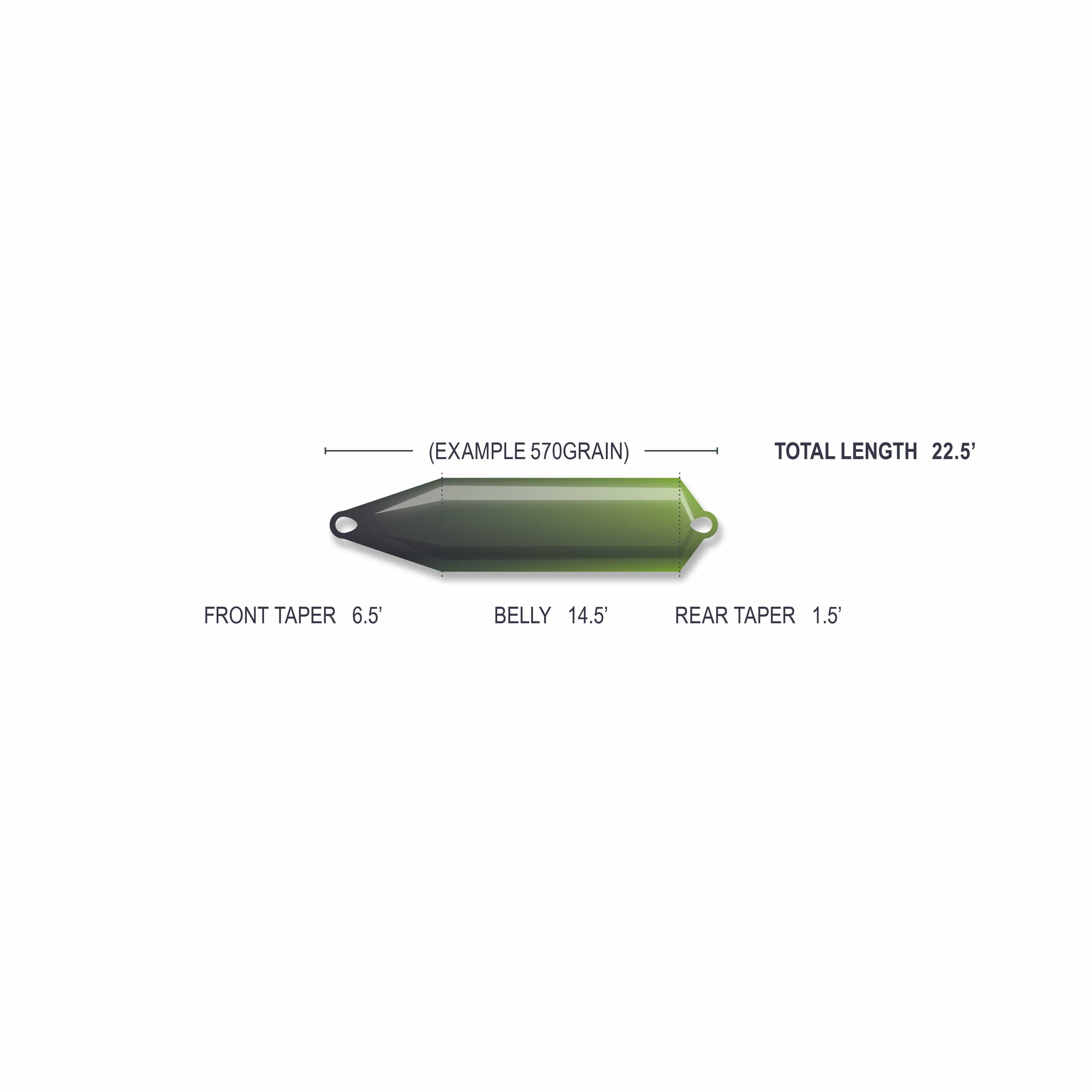 Green Airflo Skagit shooting head diagram showing tapered fly line profile with front taper, belly, rear taper and end loops