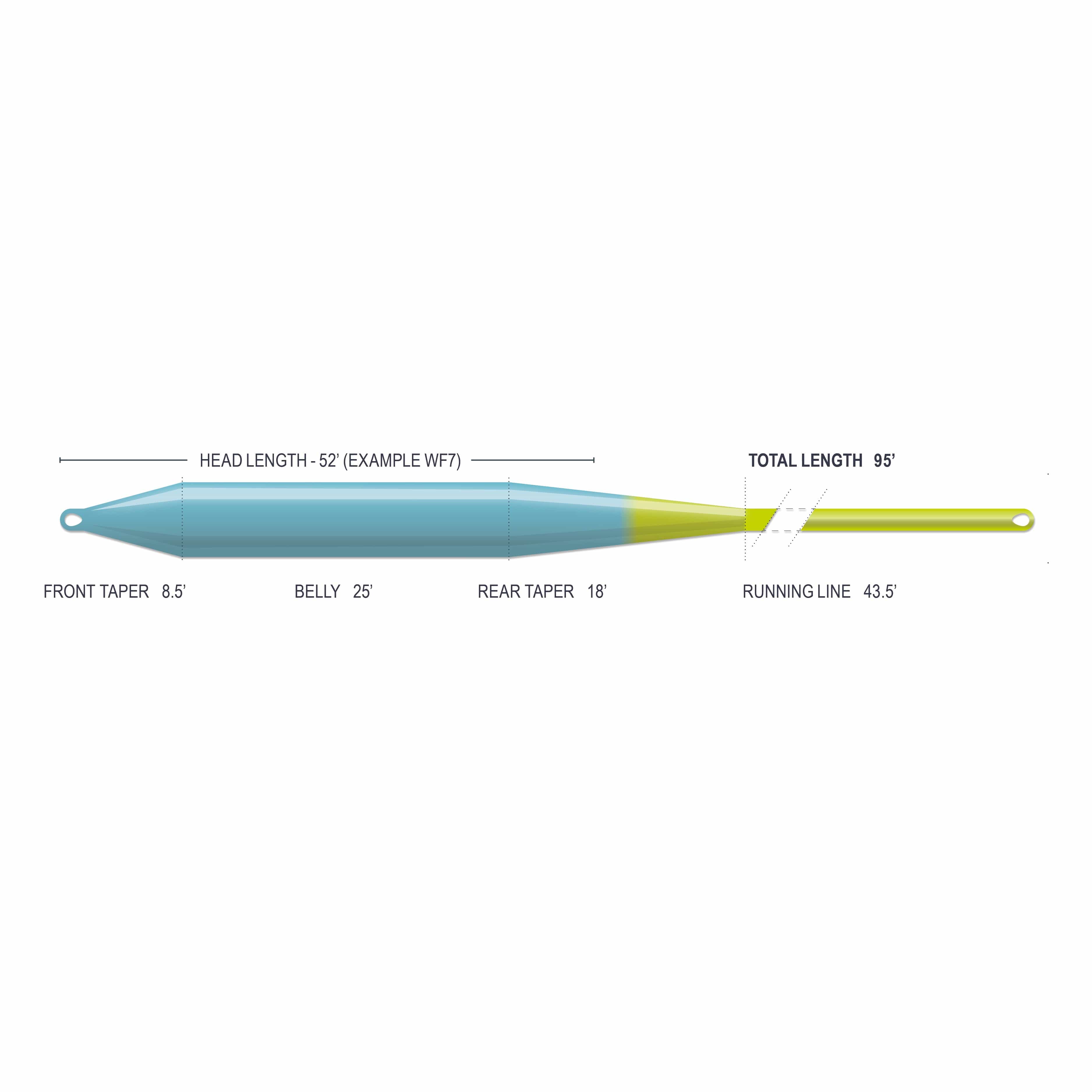 Airflo Superflo Max fly line, tapered teal belly to chartreuse running line with welded loops