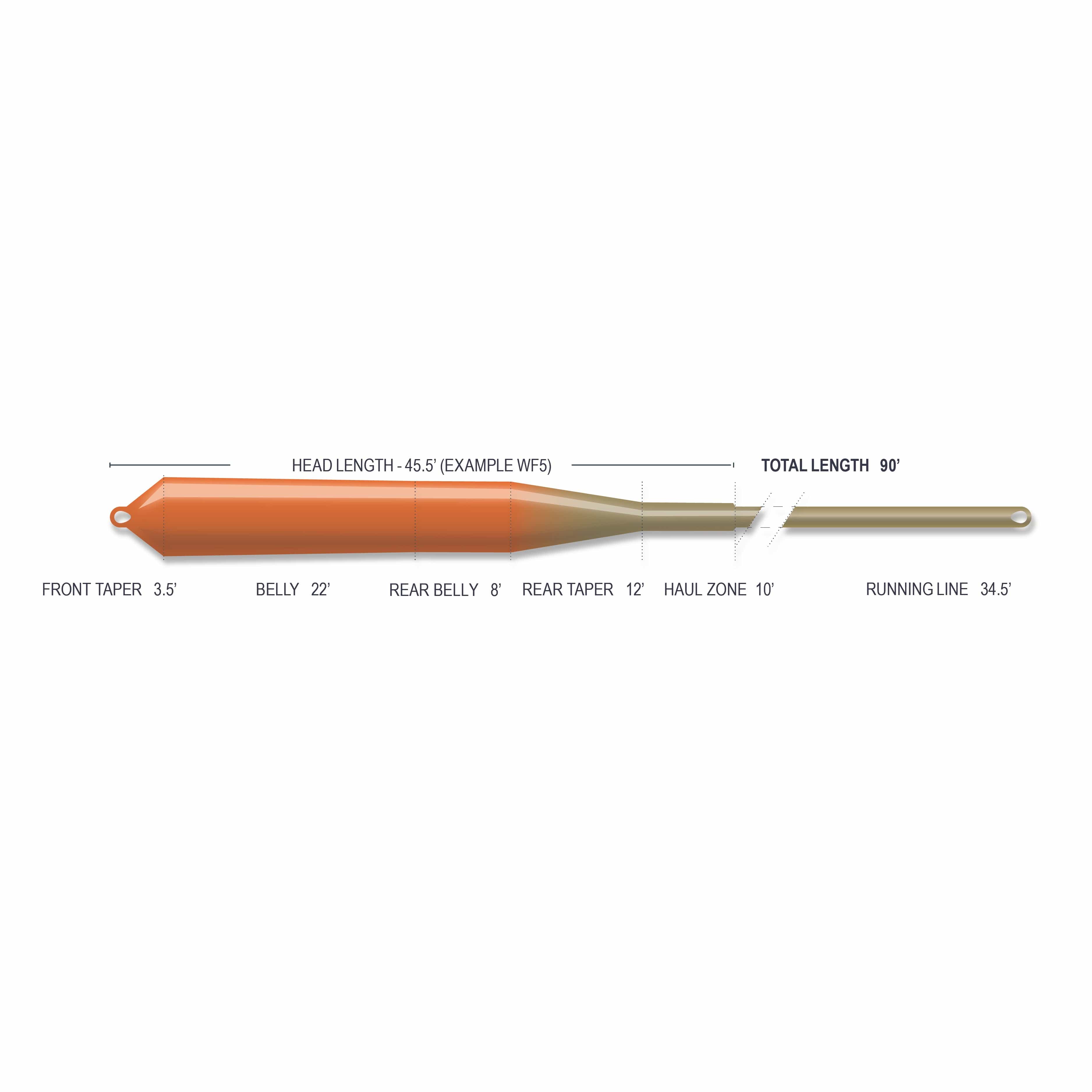 Orange-to-olive tapered fly line with bulbous orange belly, slim olive running line and looped ends, nymph indicator style.