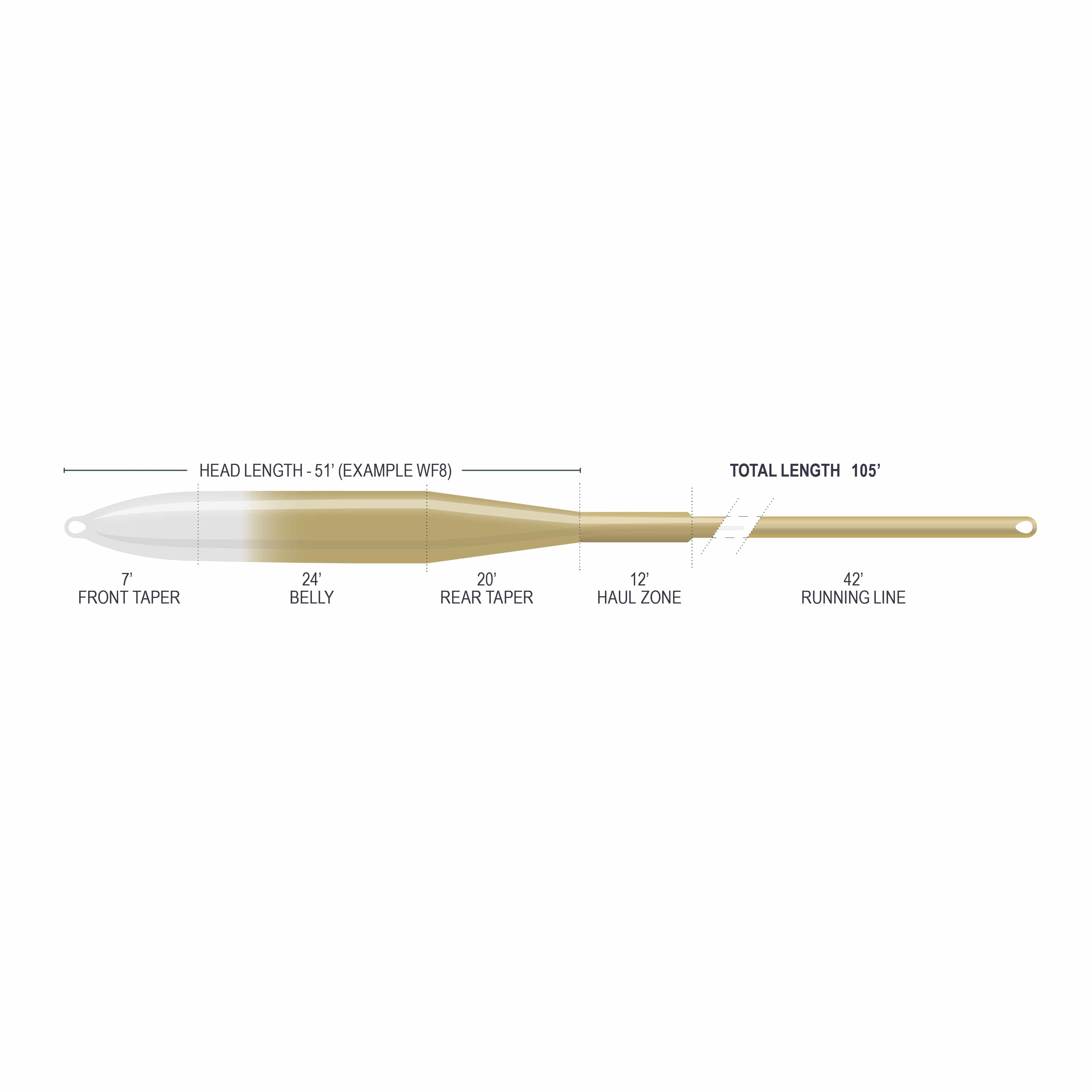 Gold-beige saltwater fly line diagram with tapered belly, rear taper, haul zone and long slim running line, labeled sections