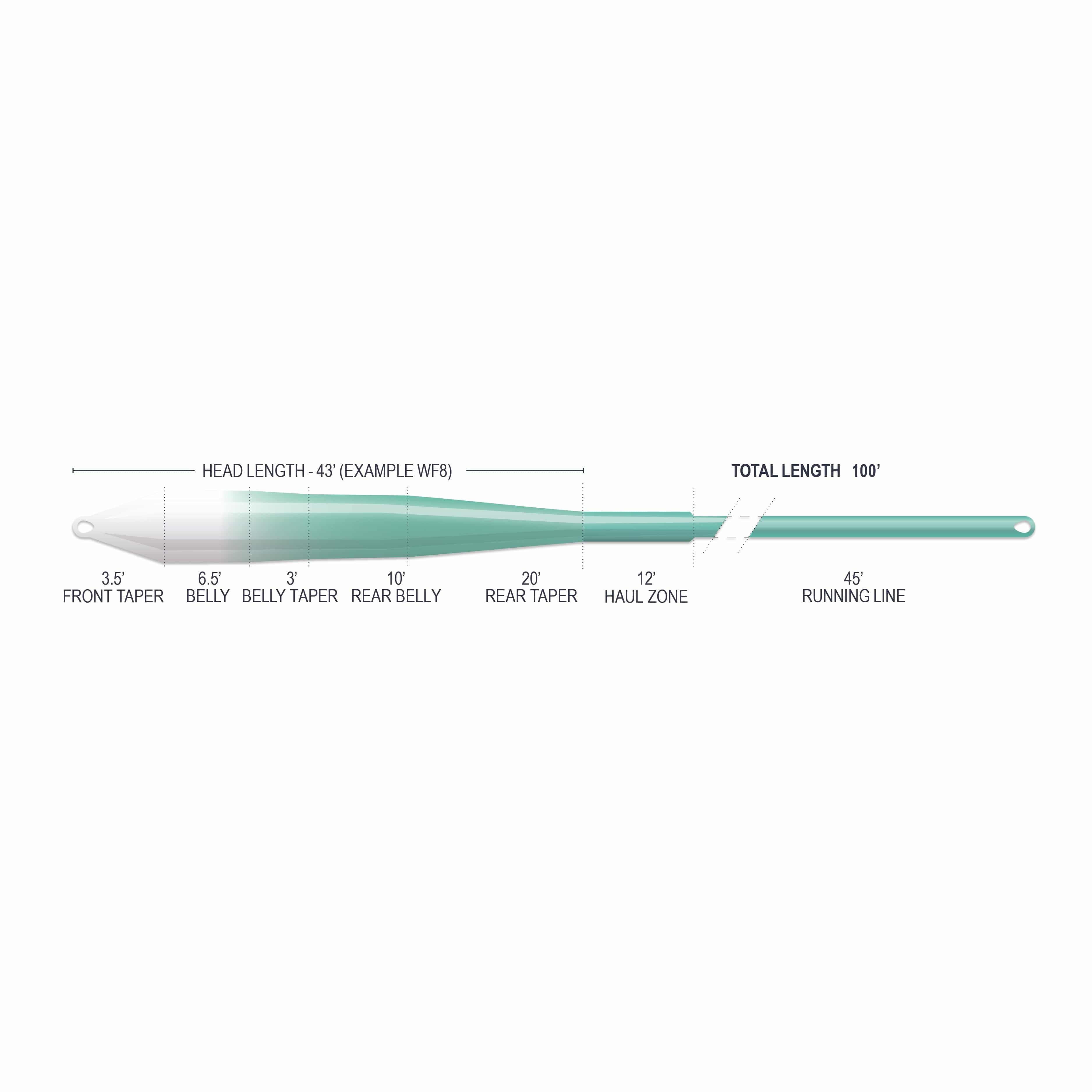 Airflo Superflo Max Ridge 2.0 teal-to-white tapered saltwater fly line diagram showing belly, tapers and running line